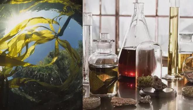 选护手霜、精粹水、海蓝之谜洁面凯发入口海蓝之谜唇膜买一送一任(图21)